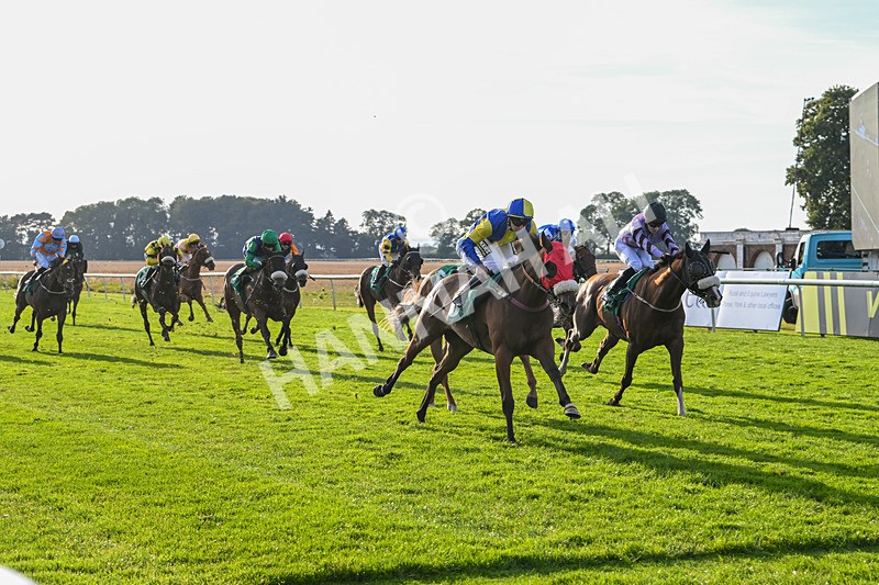 160924-Race 8-Sparkling Red-3374 - Race 8