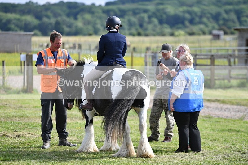 WJ5_7810 - Time 16:40 to 16:55