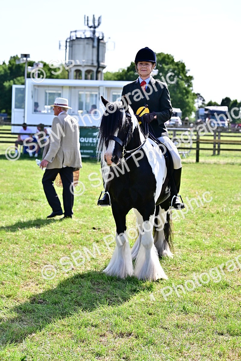 SBM_09429 - Class 63-65 - Traditional Gypsy Cobs In Hand & Ridden