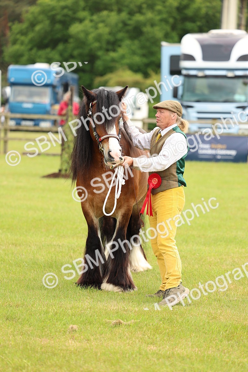 SBM_06286 - Class 39-41 TGCA In Hand and Ridden
