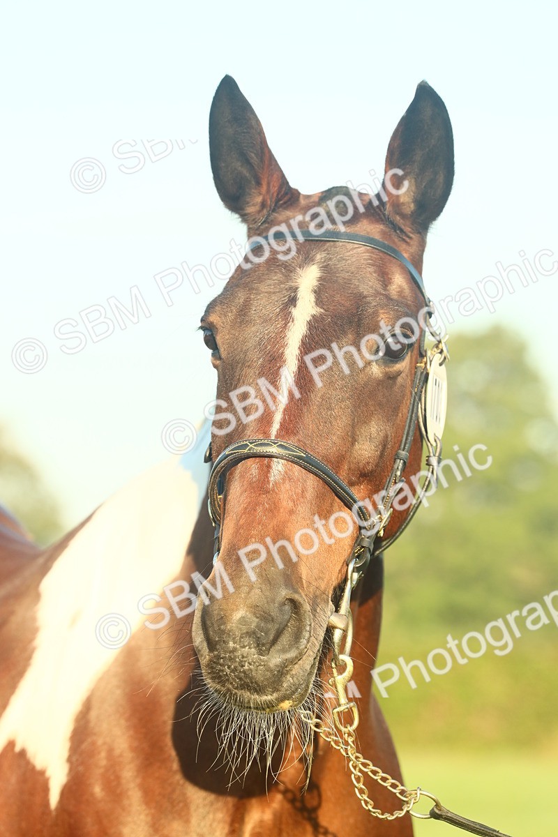 SBM_56597 - S36 - Starters Best Turnout