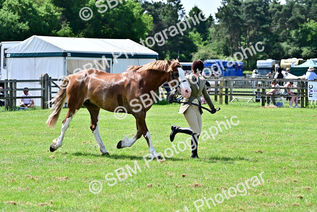 SBM_03913 - Class 58 - TSR  Ridden Veteran Amateur of the year