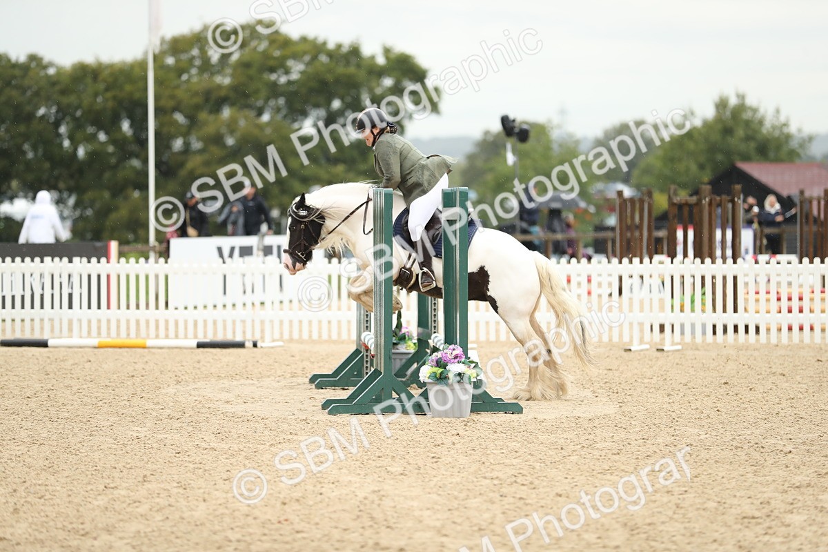 SBM_34426 - J60 Clear Round 50cm