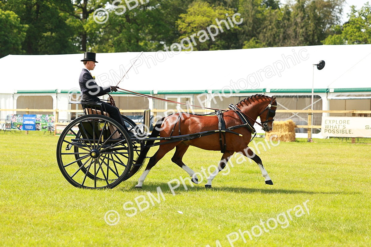 SBM_02700 - Class 2-4 - HOYS Private Driving
