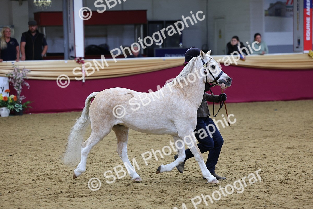 SBM_19461 - Class 901 - Supreme Final - IH Diamond