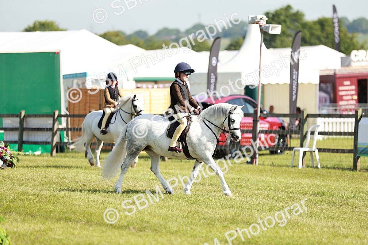 SBM_12558 - Class 106-107 - BSPS LIHS Working Sports Pony