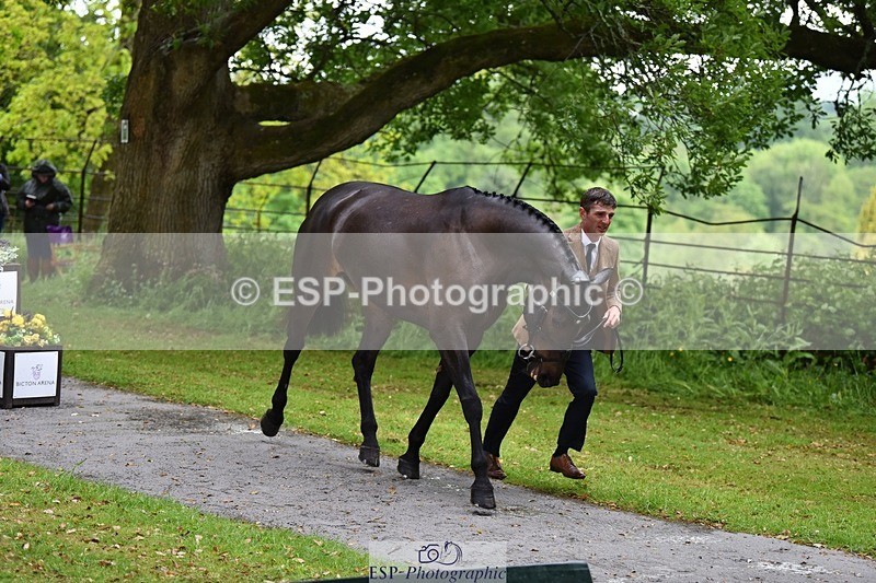 240522-152200-00286 - 325-MIDNIGHT_ENDEAVOUR-Tom_Jackson