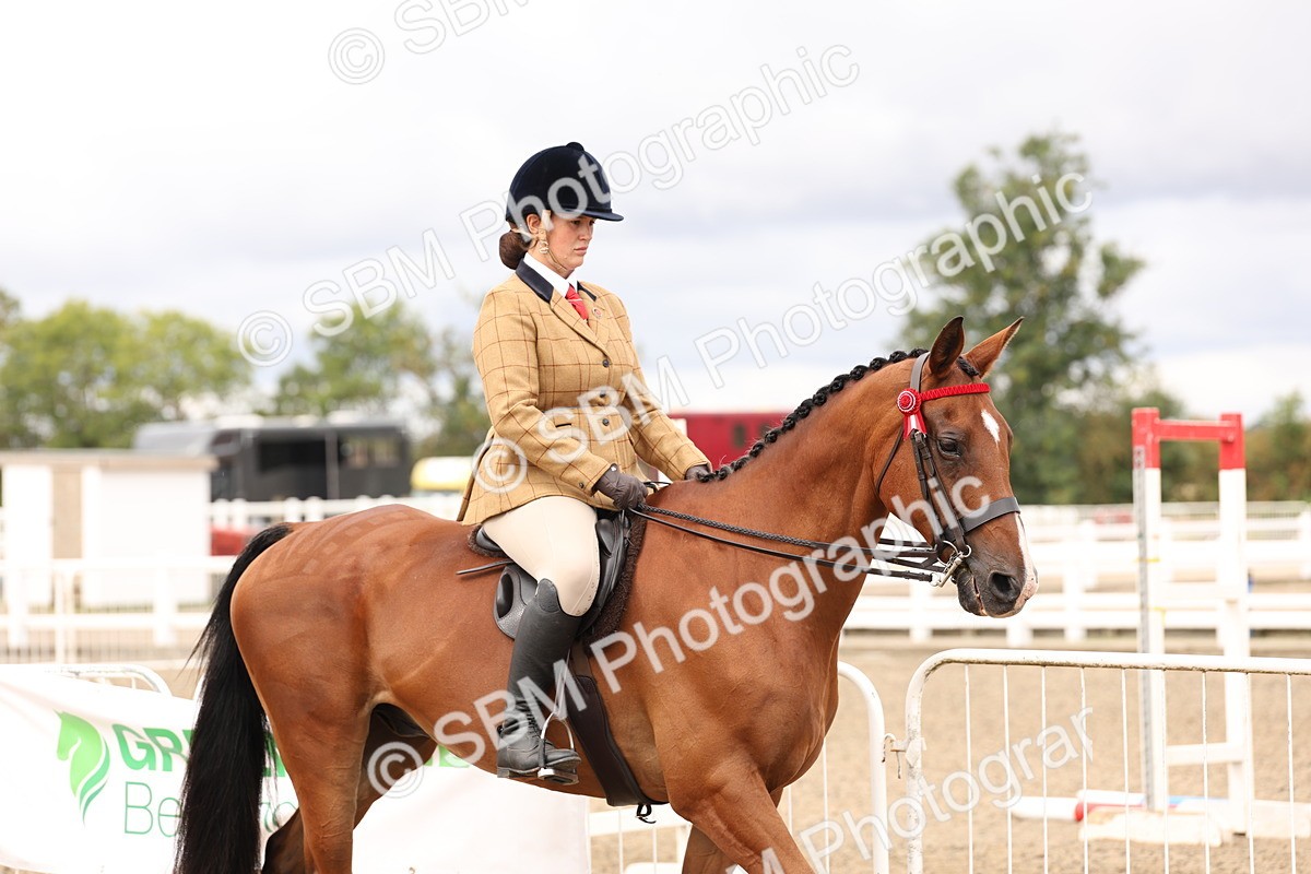 SBM_02788 - Class 53 - Ridden Competition Horse/Pony