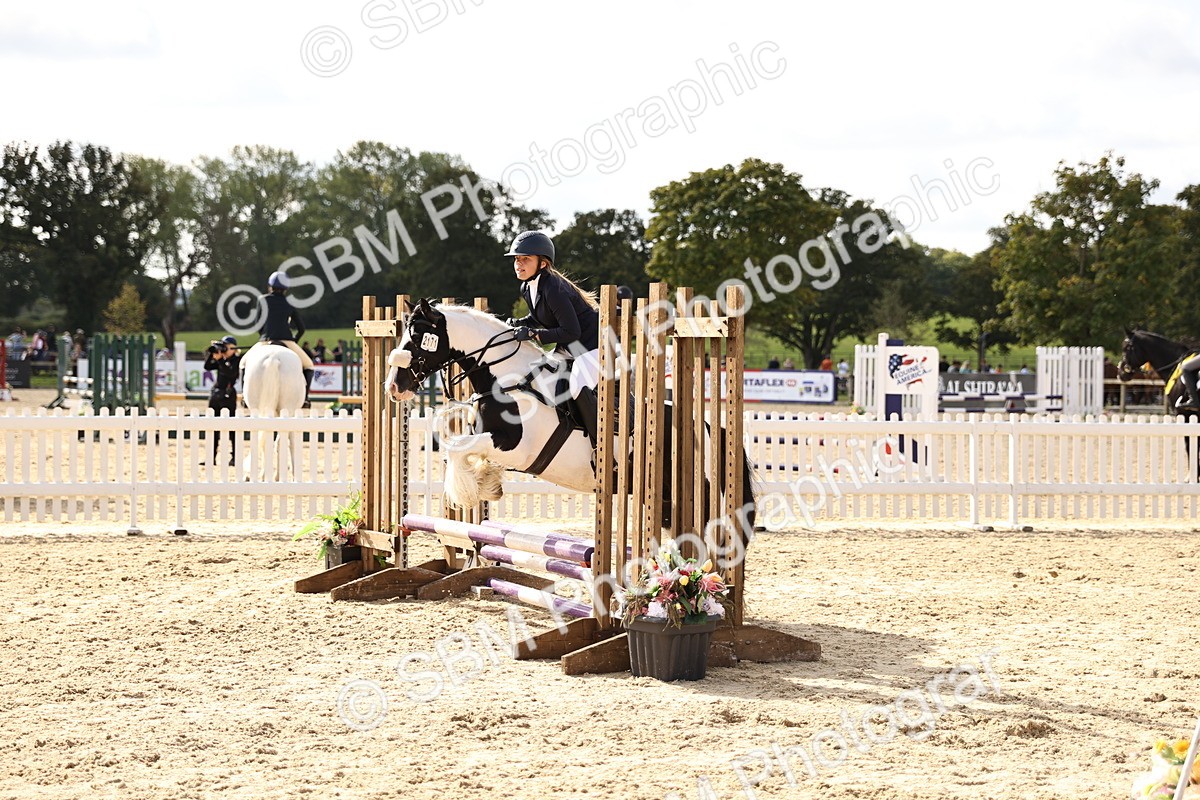 SBM_62127 - J12 - Junior Pony 55cm Championship