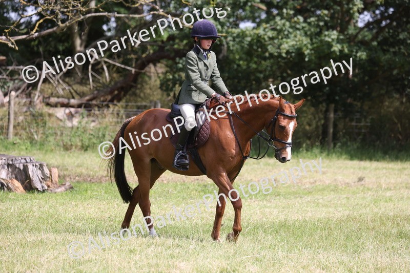 20260614-1864 - Class 21 - Novice Working Hunter Pony