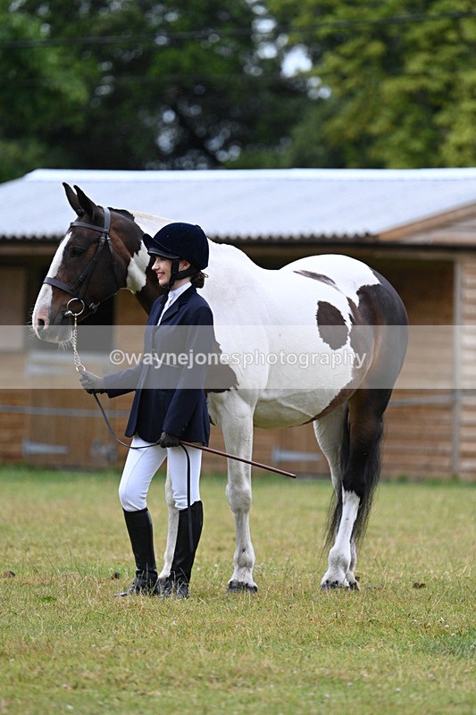 WJ7_6366 - Class 4a Prettiest Mare over 14hh