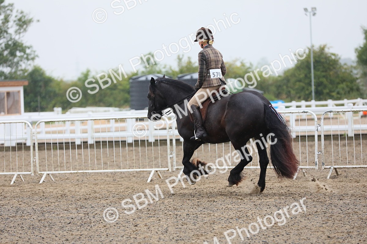 SBM_20309 - Class 803 - Ridden Combination 65+