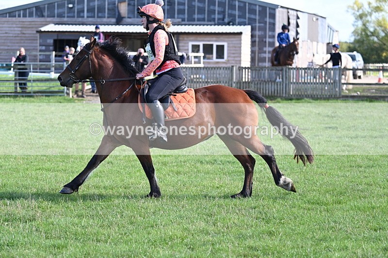 WJ7_1242 - Time 13:56 to 14:24