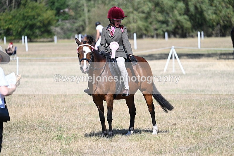 WJ7_4189 - Class 9 Mountain & Moorland Ridden