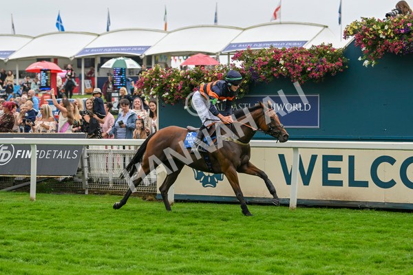 080924-Pony Race-8499 - Pony Race 1.00pm The Dragon (TV and Film) Studios Pony Race 148cm & Under