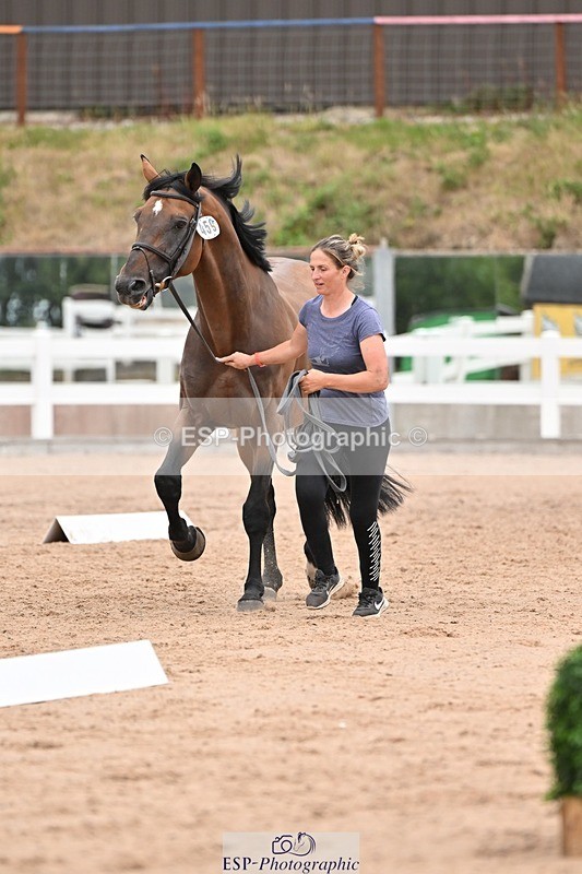 250716-160436-02392 - Trot Up 3.30 to 4.30