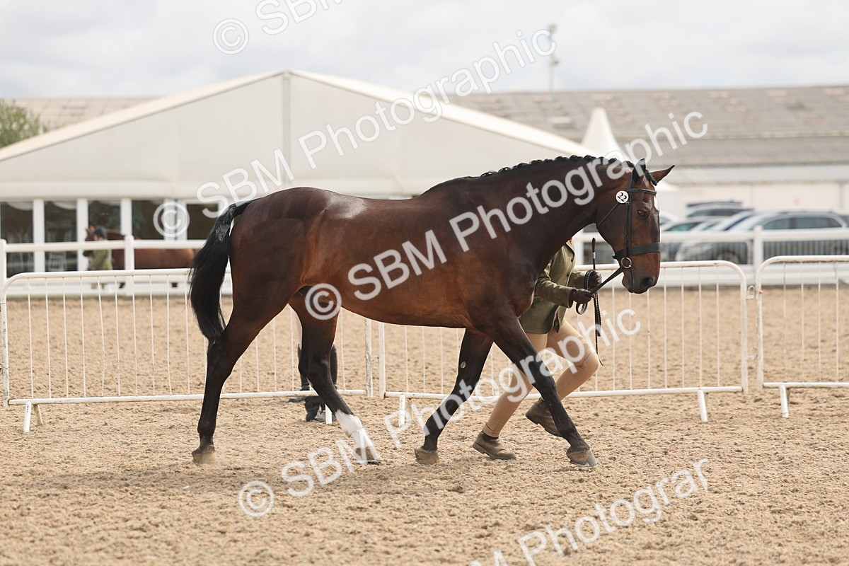 SBM_04989 - Class 20 - IH Veteran