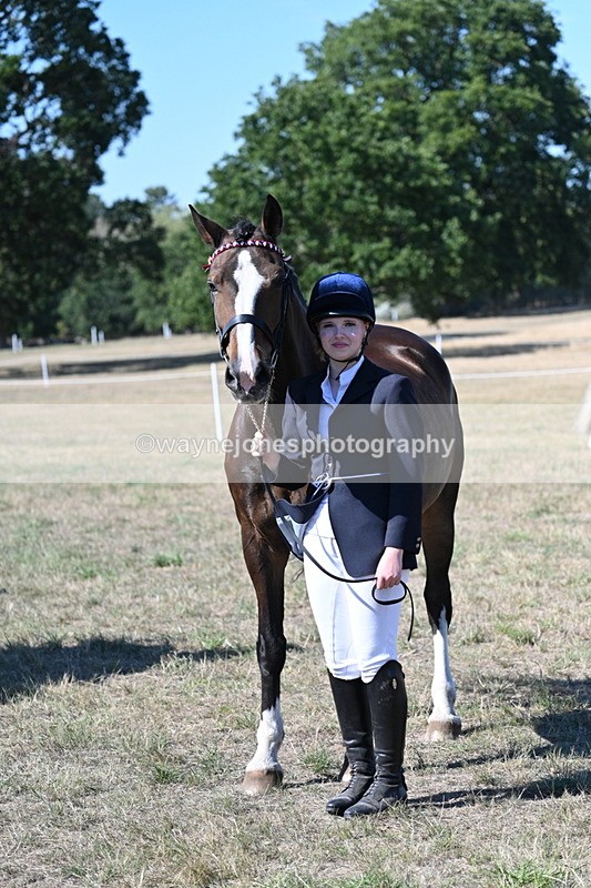 WJ7_1565 - Class 42 Most Handsome Gelding