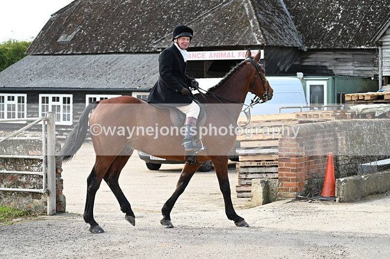 WJ7_9974 - Walk Home