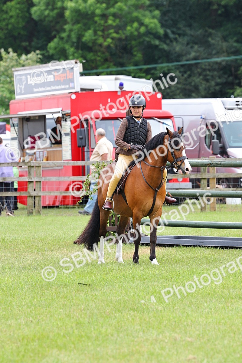 SBM_08618 - Class 42-43 - LIHS BSPS Heritage Working Sports Pony