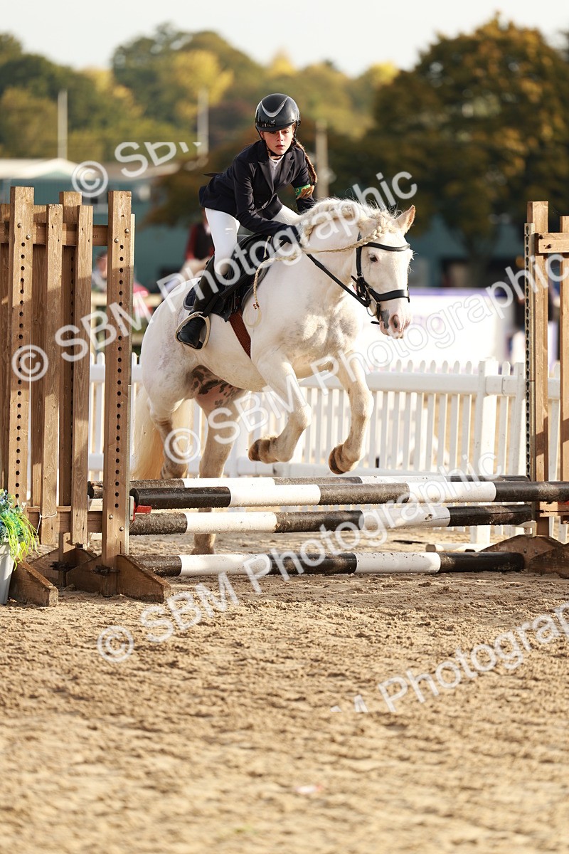 SBM_55592 - J11 - Junior Pony 50cm Championship