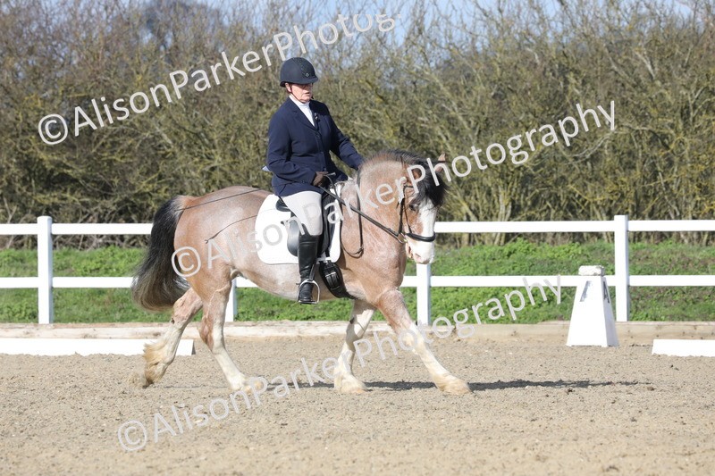 20260314-5015 - CT6 - Elementary 1