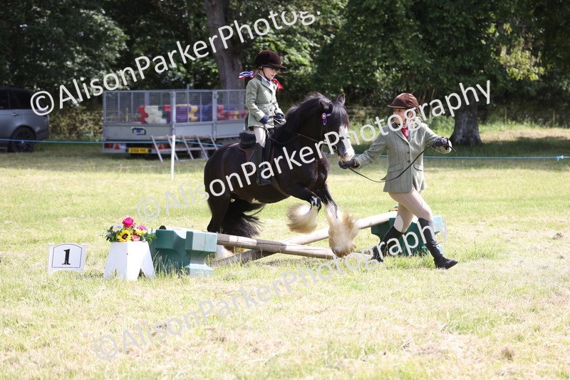 20260614-0612 - Class 20 - Beginners Working Hunter Pony