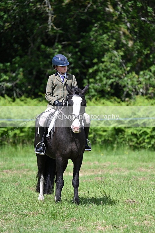 WJ7_1755 - Class 9 Pony Club Pony