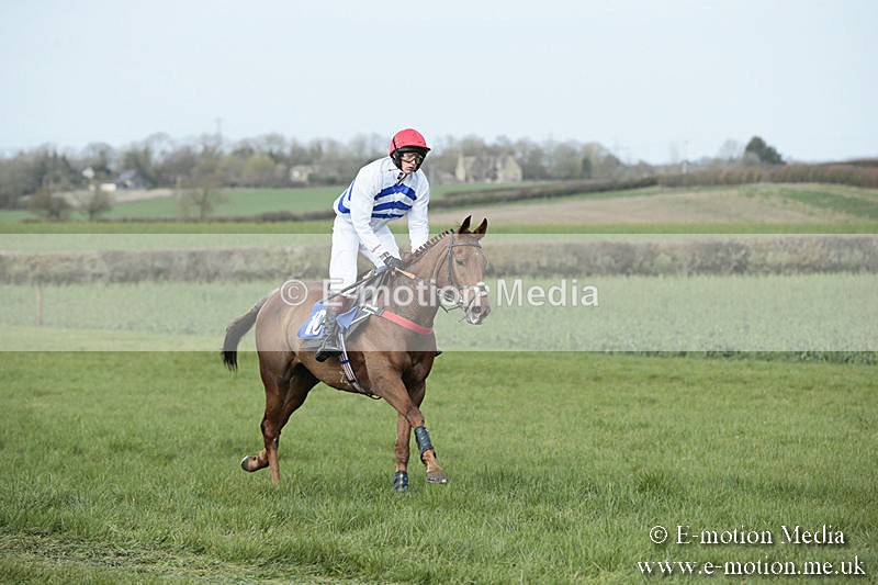 PtP 230319 380 - VWH Hunt Siddington Point-to-Point Racing 23/03/19