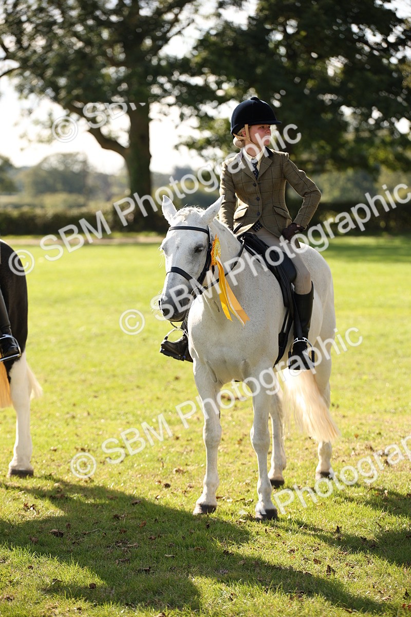 SBM_50098 - S26 - Young Veteran - Ridden