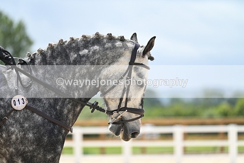 WJ7_5396 - Time 11:10 to 11:28