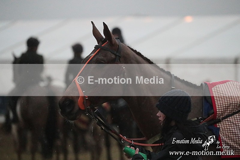 PtP 260125 1155 - Cocklebarrow Point-to-Point racing with the Heythrop Hunt 26/01/25
