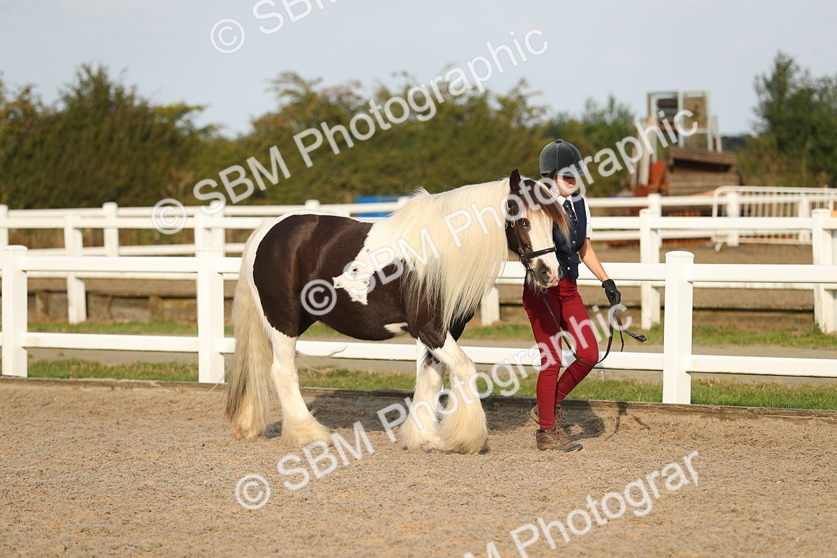 SBM_08896 - Class 29 IH Veteran Pony