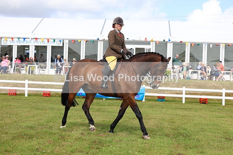 3E7A9455 - Class 4: Rising Star M/H Hunter