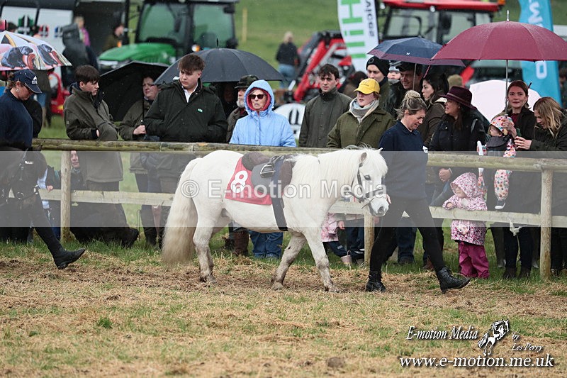 SHETPR 210425 47 - Shetland Ponies Paxford Races 21/04/25
