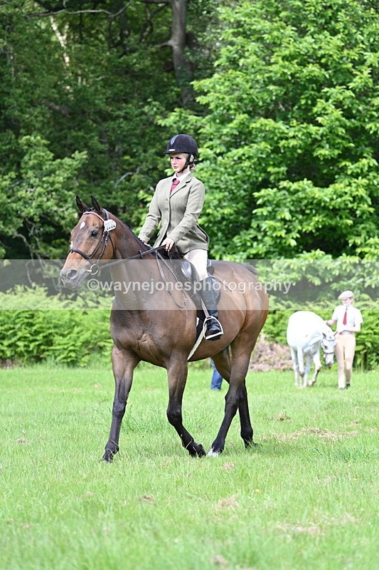 WJ7_1274 - Class 11 Condition & Turnout