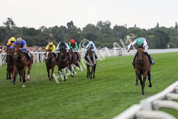 yr18082022r5-16 - Race 5 4.10pm British EBF & Sir Henry Cecil Galtres Stakes