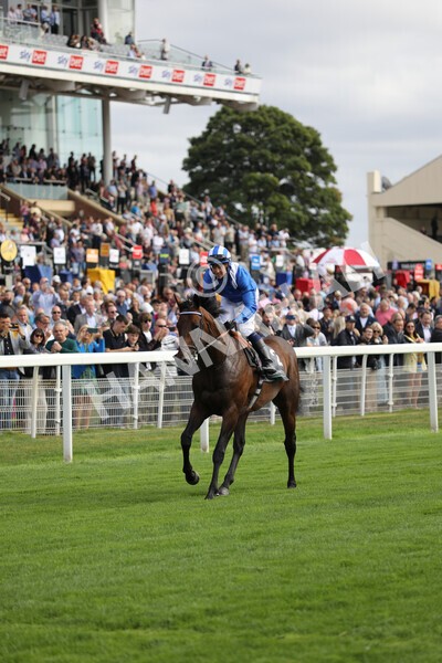 yr17082022r4-100 - Race 4 3.35pm Juddmonte International Stakes (British Champions Series Race)