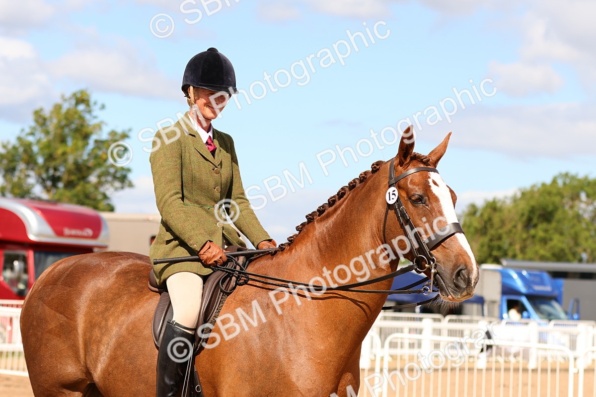 SBM_13210 - Class 211 - Ridden Hunter - Small