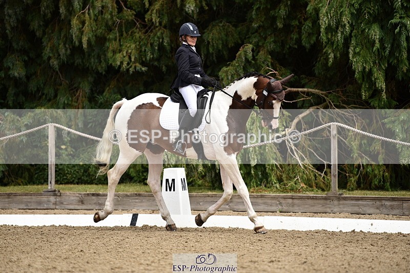 140110A-030540-11154 - 070-Deborah.Randall-Kindred.Spirit