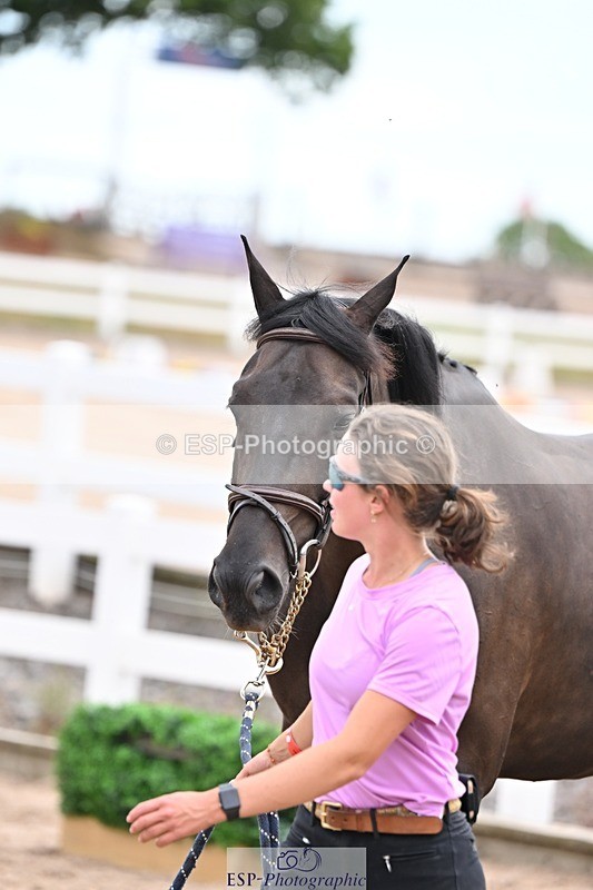 250716-140155-00864 - Trot Up 1.30 to 2.30