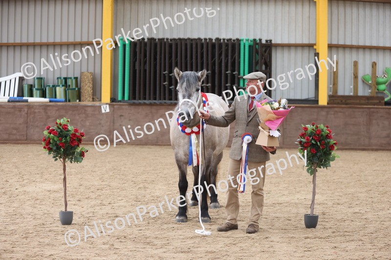 20251109-1236 - Supreme Championship