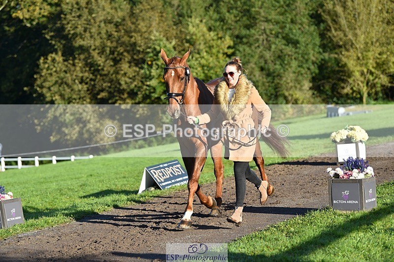 231022-093010-21834 - 682-DOOLIN.DE.REVE-Jasmine.Holmes-TrotUp+SJ