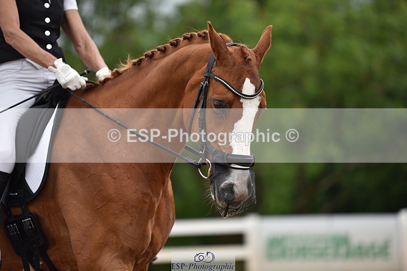 240623A-113756-17251 - Cls 47 BD Novice 22