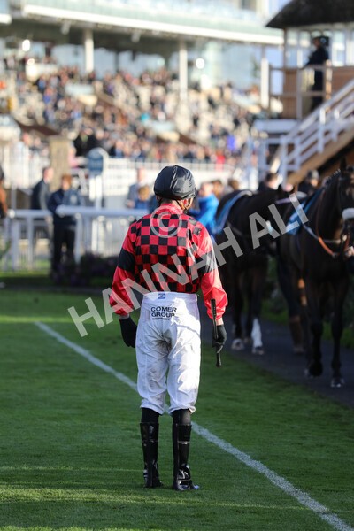 yr07102022r7-3 - Race 7 5.35pm IRE Incentive, It Pays To Buy Irish Stakes