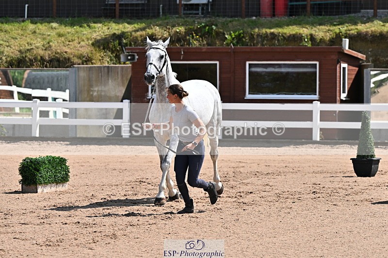 240718A-105238-00968 - Trot Up 11am to 12pm