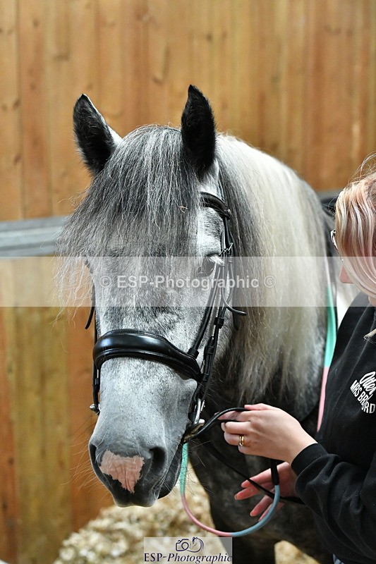 230804A-094838-02202 - Stable Shots