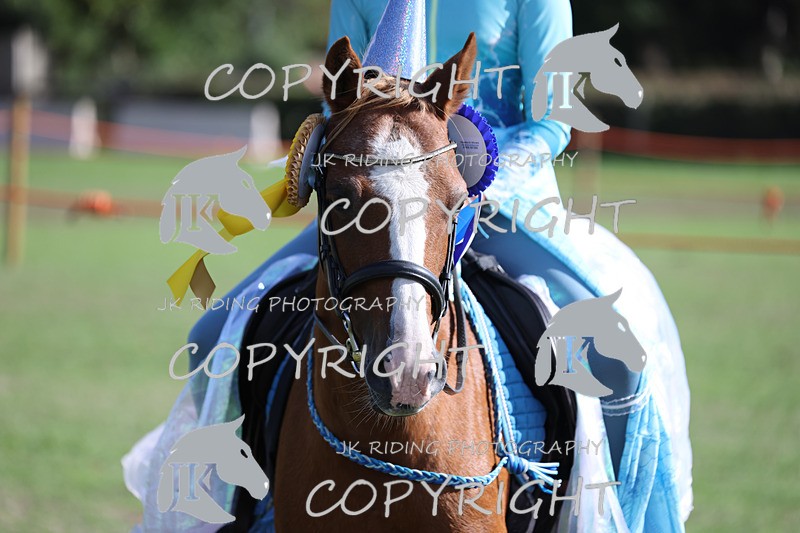 APP_4095 - Class 19 Fancy dress