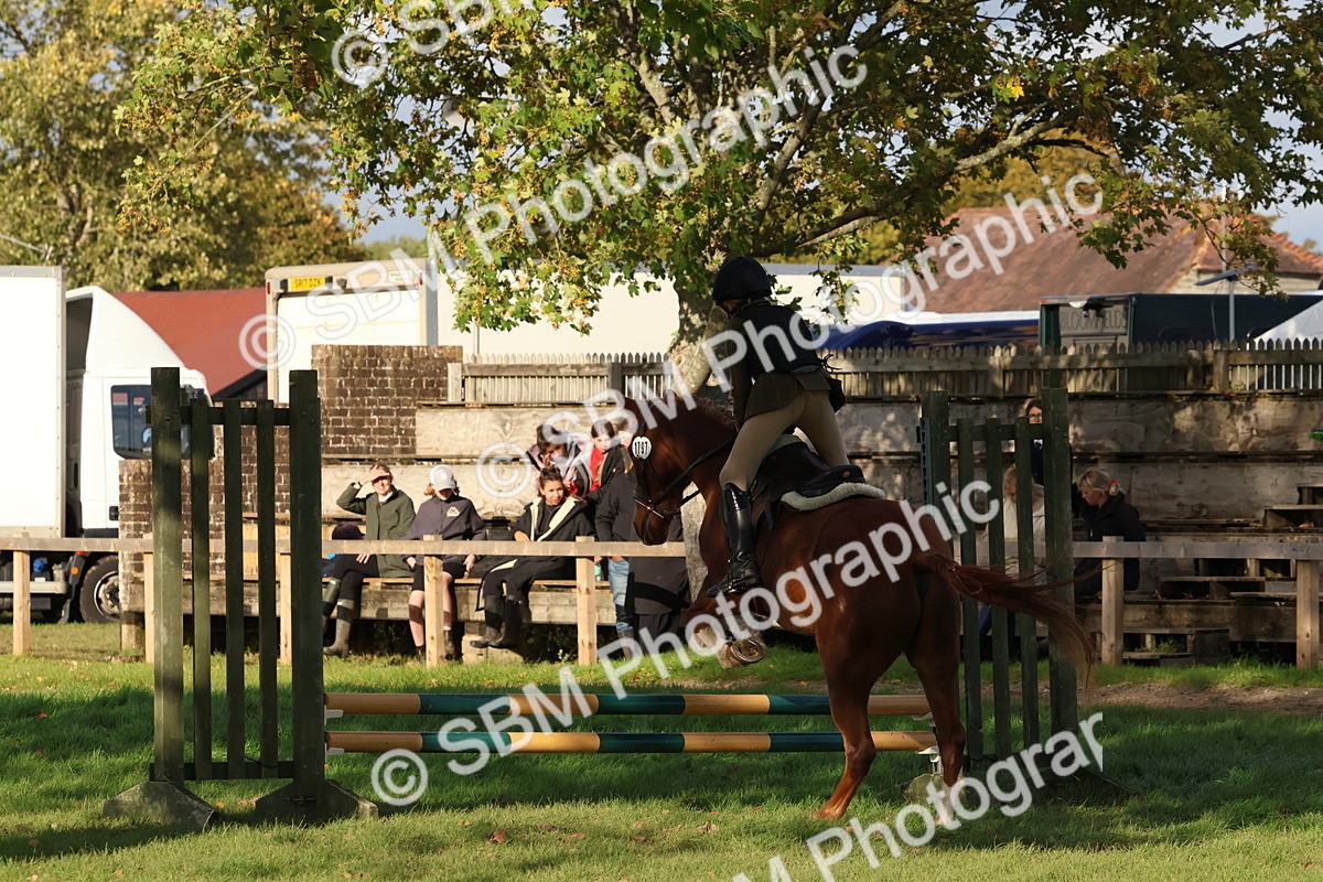 SBM_52608 - S13 - Pony Club Pony