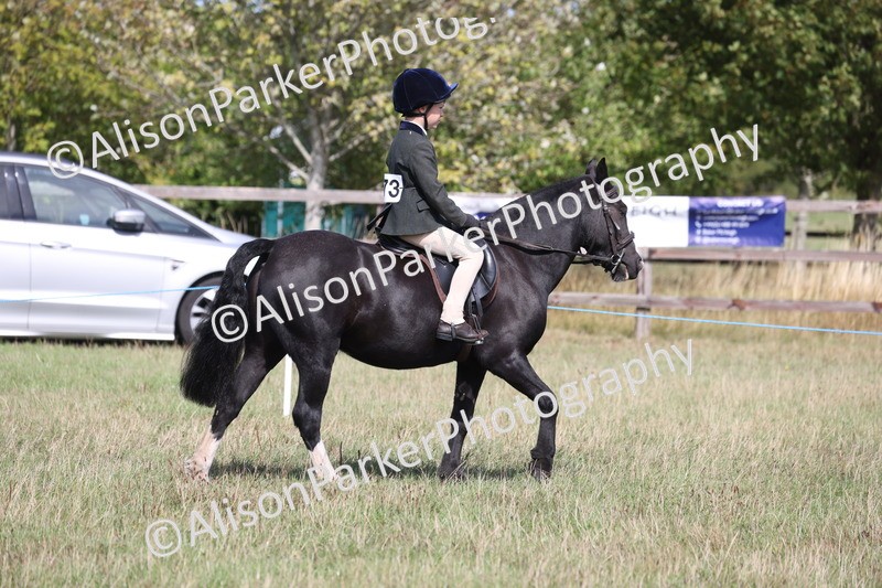 20260906-2567 - Class 18 - Childs First Pony